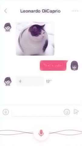 ddos在线压力测试平台软件程序维护界面